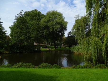 Lake and Trees in a Park