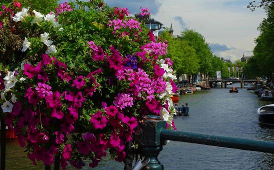 Bridge Floral Decoration