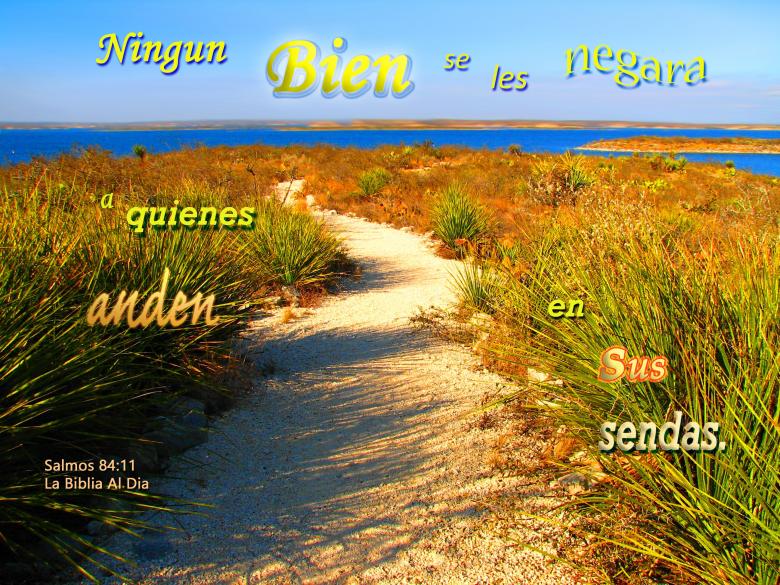 Free stock image of Ningun Bien se les Negara created by DFNatureAwed