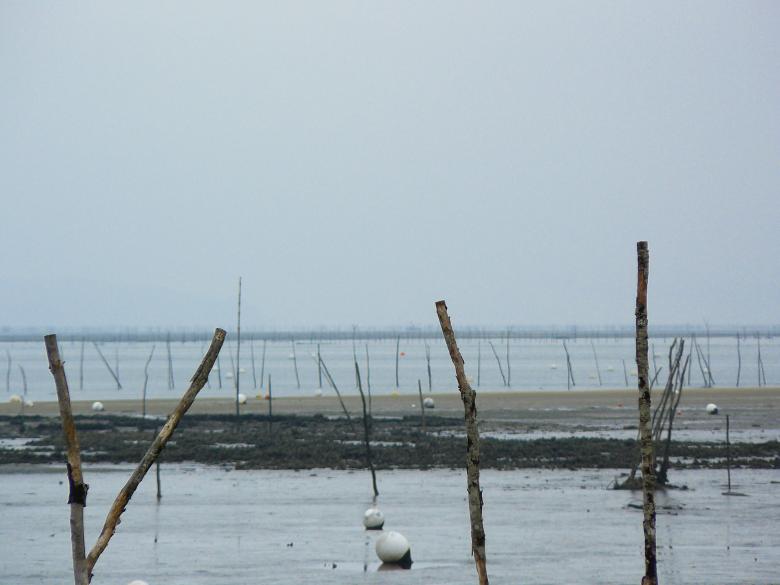 Free stock image of Arcachon Bay created by Dias Angela