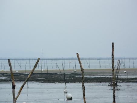 Arcachon Bay