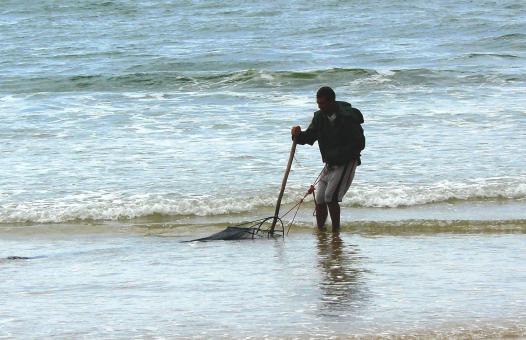 Seashell fisherman