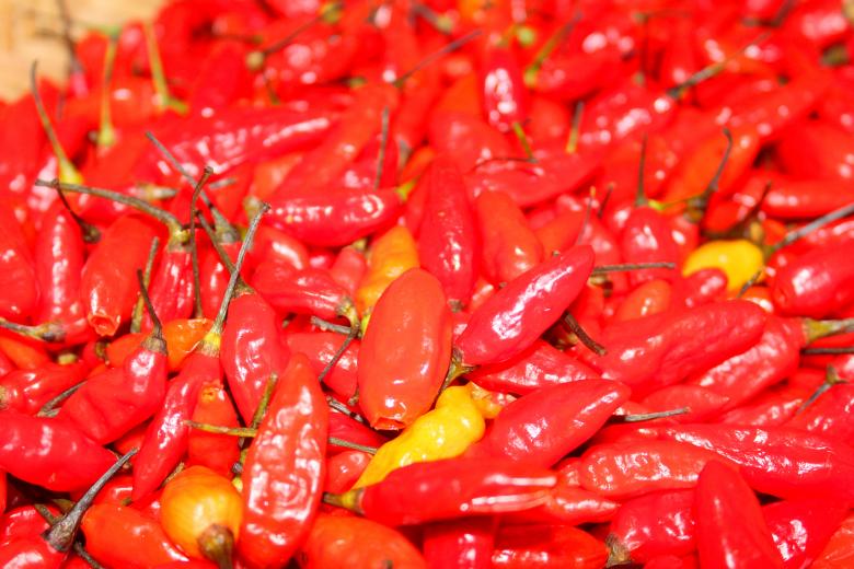 Free stock image of Red chili healthy pepper created by Moon  Bhuyan