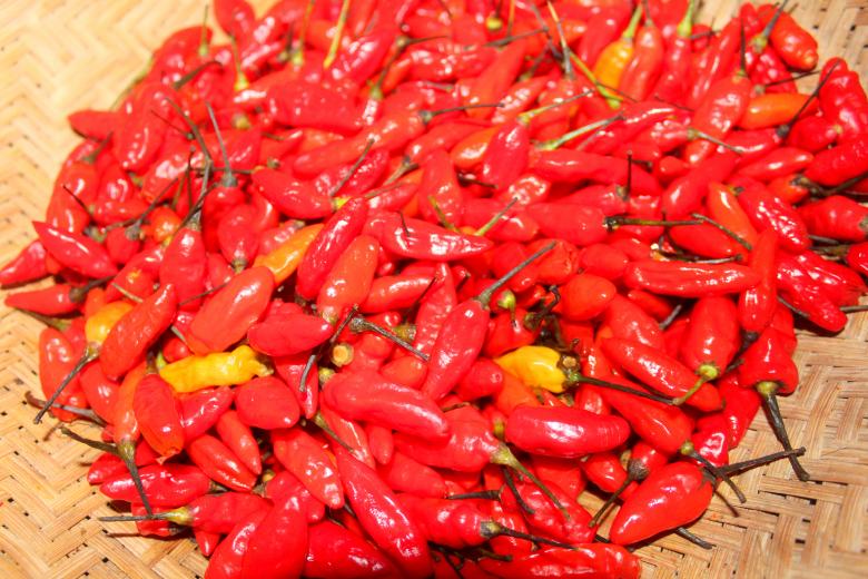 Free stock image of Red healthy chili peppers created by Moon  Bhuyan