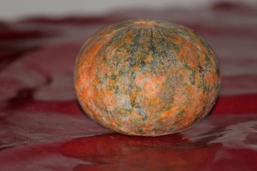 Green and Orange Pumpkin