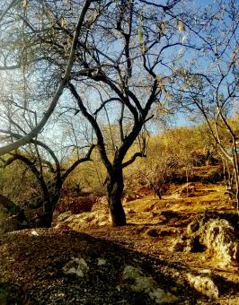 Autumnal Landscape in the Rif Mountains - Free Stock Photo
