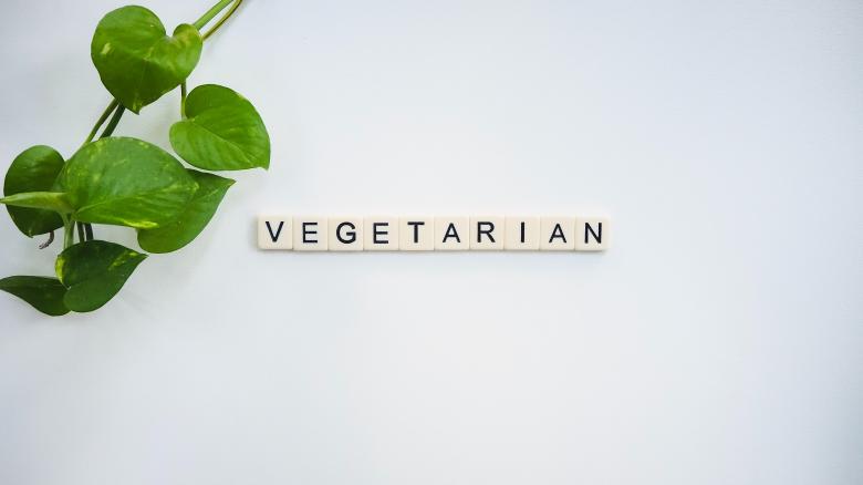 Free stock image of Vegetarian Text Blocks created by Vegan Liftz 