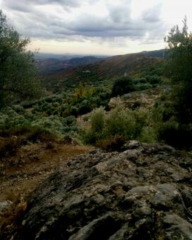 Wonderful Moroccan nature after the rain - Free Stock Photo