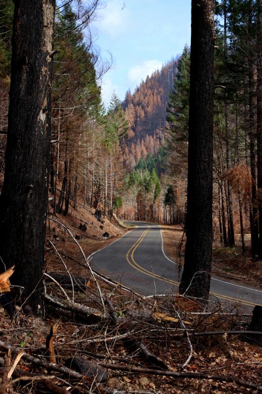 Free stock image of Road to Blue River created by Brian Walker