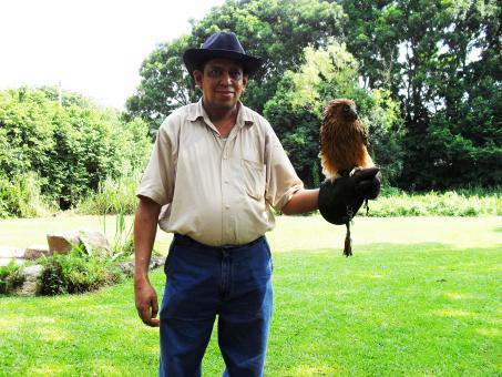 Man Holding a Tawny Fish Owl - Free Stock Photo