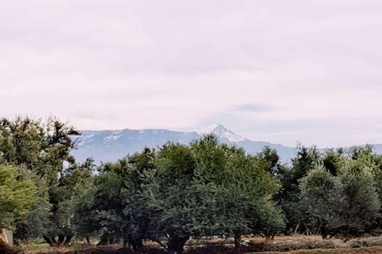 Free stock image of Woods and Mountain Landscape created by hassan