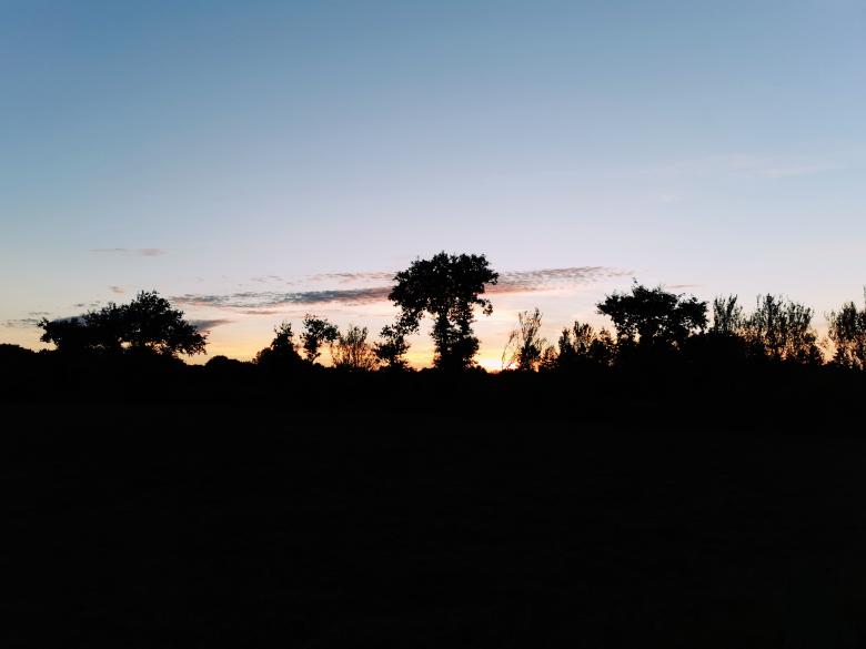 Free stock image of Sunset Silhouette created by hassan