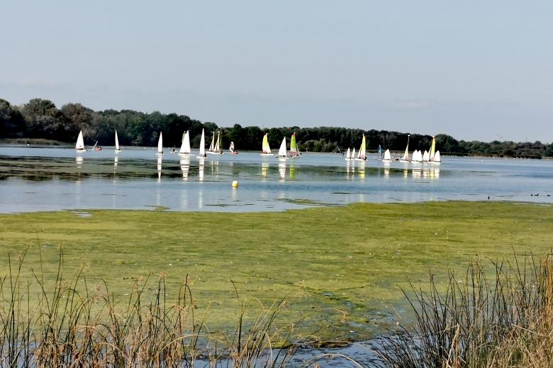 Free stock image of Sailboats on a Lake created by hassan