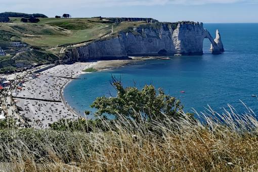 The Beach and Cliffs - Free Stock Photo