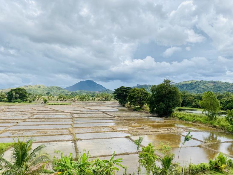 Free stock image of Paddy fields near a Lake with a Beautiful View created by SK