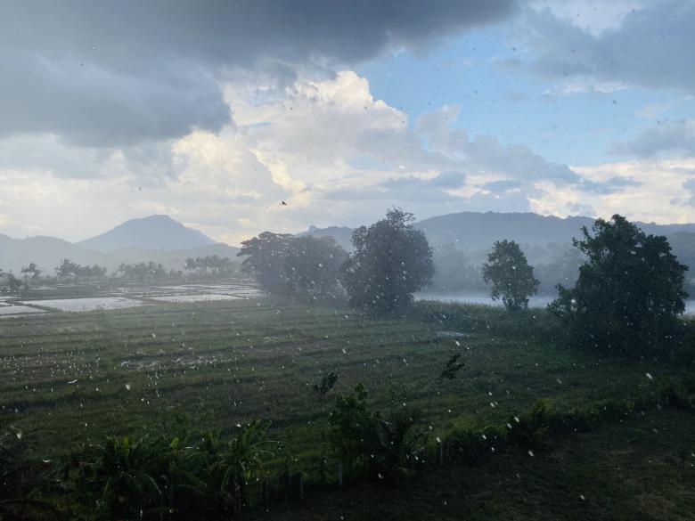 Free stock image of Rainy Day which makes Environment more beautiful created by SK