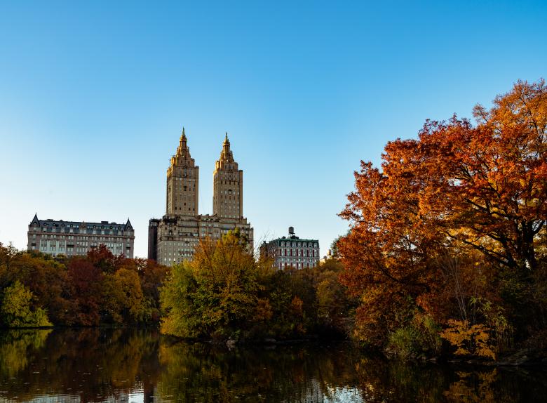 Free stock image of Central Park Foliage created by Oleg