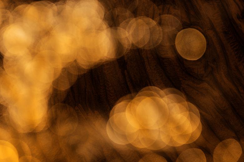 Free stock image of Bokeh Wood Bark created by Nicolas Raymond