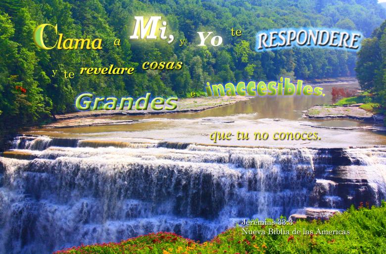 Free stock image of Clama a Dios y te Respondere created by DFNatureAwed