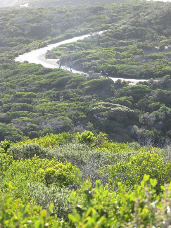 Free stock image of Point Nepean Landscape, Australia created by Michiru Maeda