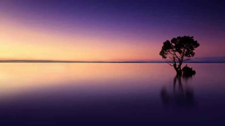 Free stock image of Serene Landscape - Isolated Tree Reflected on Lake at Sunset created by Jack Moreh
