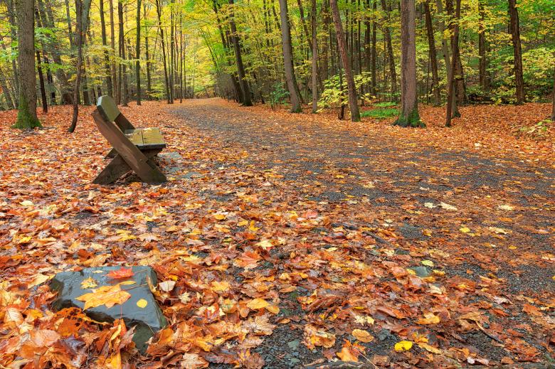 Free stock image of Autumn Taughannock Trail created by Nicolas Raymond