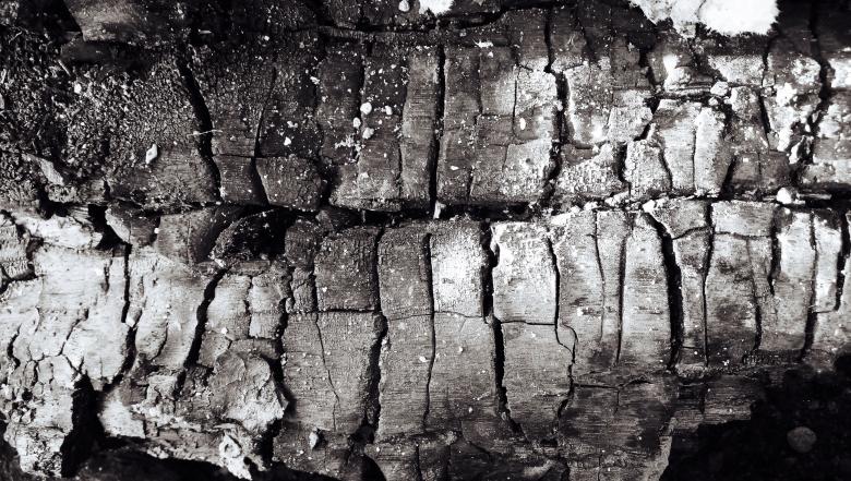 Free stock image of Wood charcoal created by Arief Fauzan