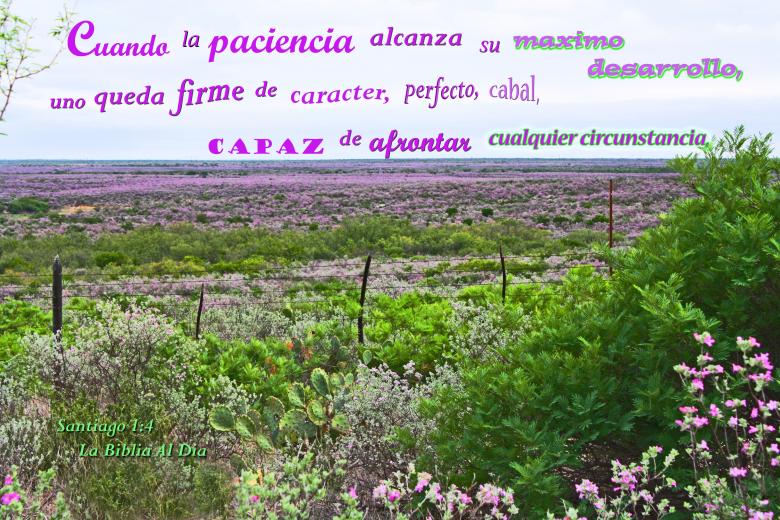 Free stock image of Paciencia Maximo Desarrollo created by DFNatureAwed