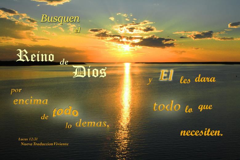 Free stock image of Busquen el Reino de Dios created by DFNatureAwed