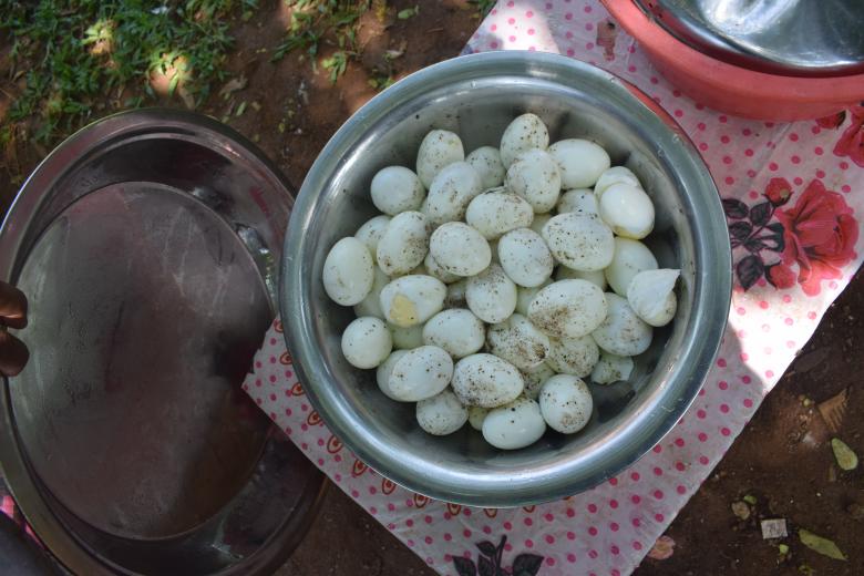 Free stock image of 50 Eggs for making Biriyani created by SK