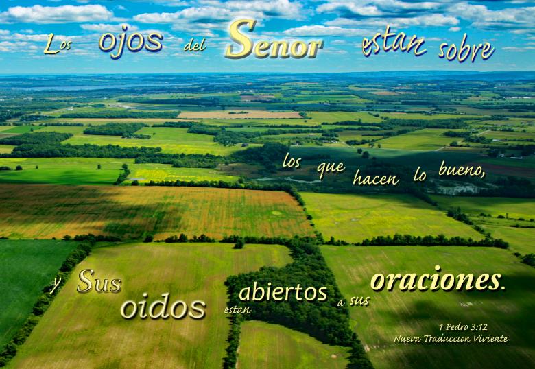 Free stock image of El Senor Escucha a Nuestros Oraciones created by DFNatureAwed