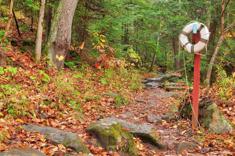 Free stock image of Lifebuoy Forest Trail created by Nicolas Raymond