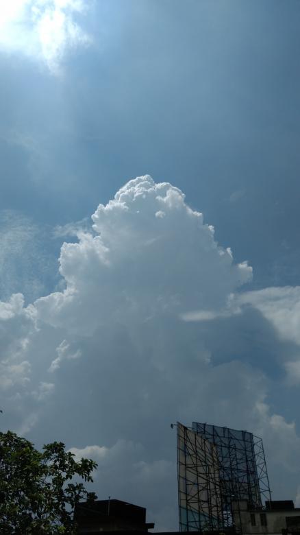Free stock image of Summer Season created by Avishek Singh Sardar