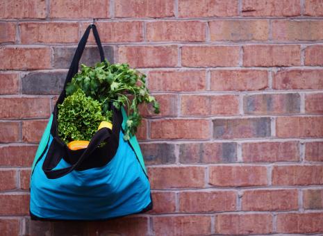 Sustainable living using reusable grocery bags - Free Stock Photo