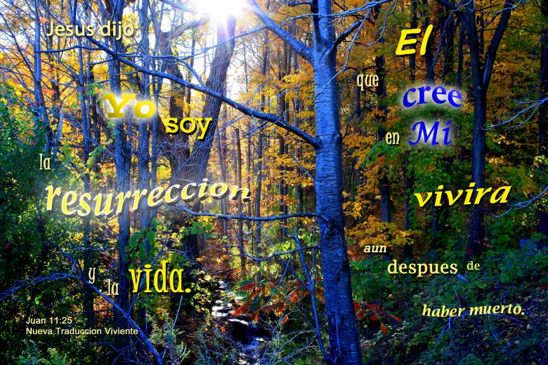 Free stock image of La Resurreccion y La Vida created by DFNatureAwed