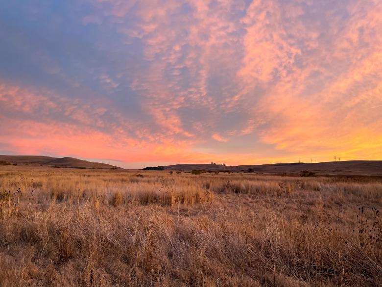 Free stock image of Grass Field Photo created by Matt Bango