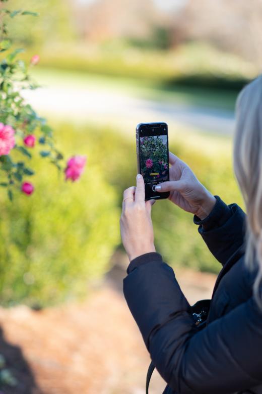 Free stock image of Person Smartphone Photo created by Matt Bango