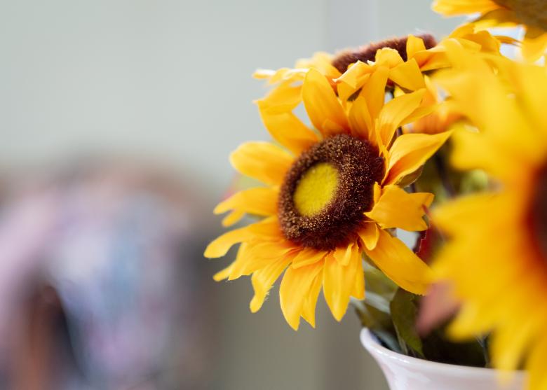Free stock image of Flower Vase Photo created by Matt Bango