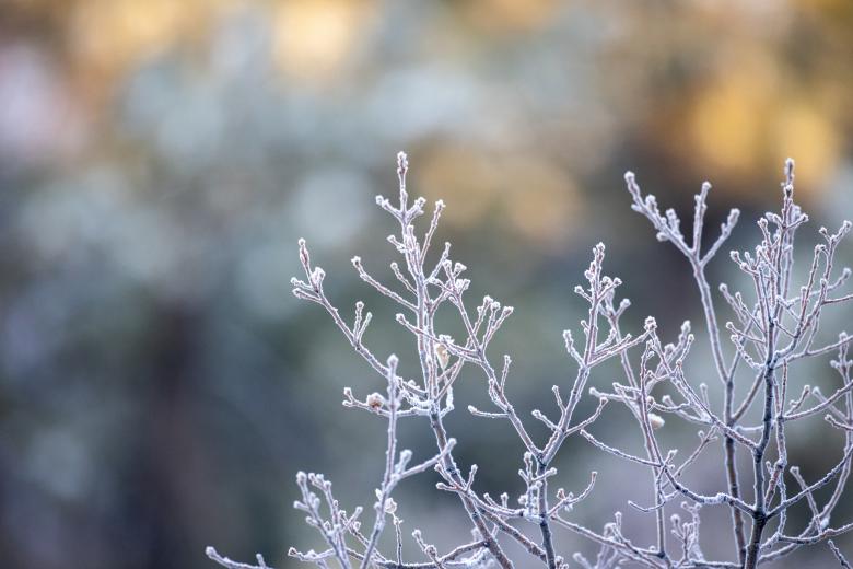 Free stock image of Ice Nature Photo created by Matt Bango
