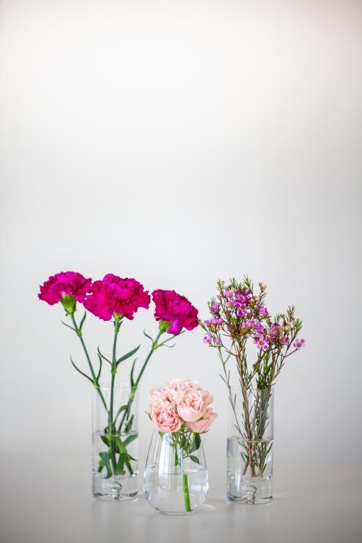 Free stock image of Flower Vase Photo created by Matt Bango