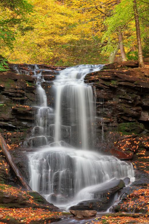 Free stock image of Autumn Tuscarora Falls created by Nicolas Raymond