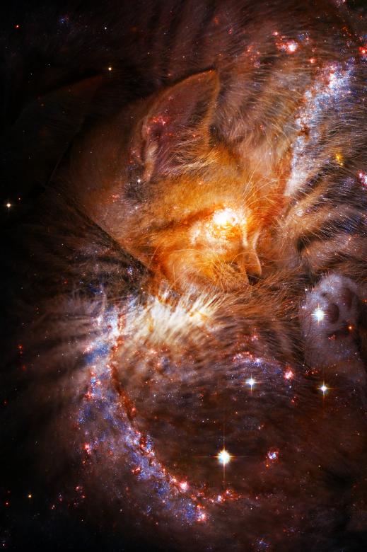 Free stock image of Cat Nap Galaxy created by Nicolas Raymond