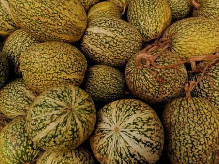Chilacayote - Free Stock Photo