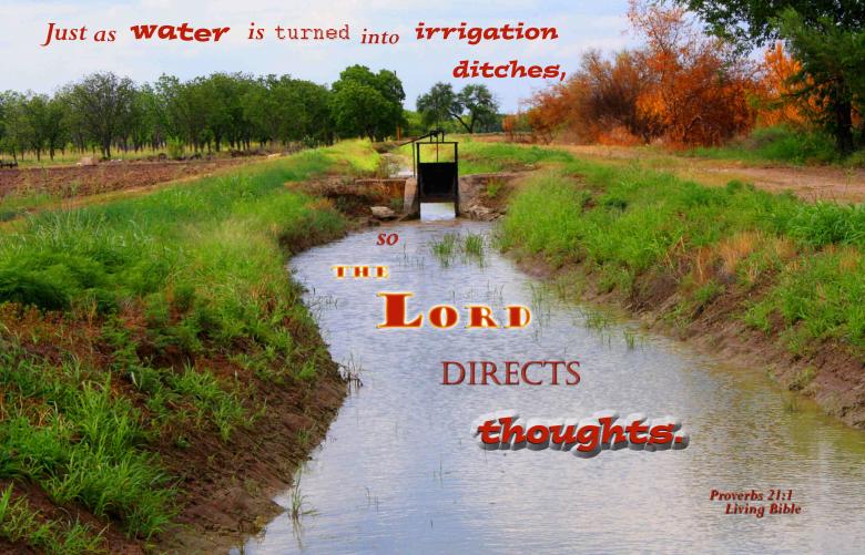 Free stock image of The Lord Directs Thoughts created by DFNatureAwed