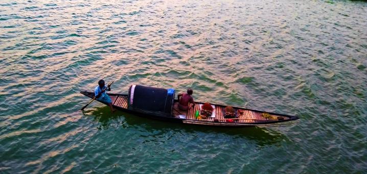Hungry Boatmen in the sea - Free Stock Photo