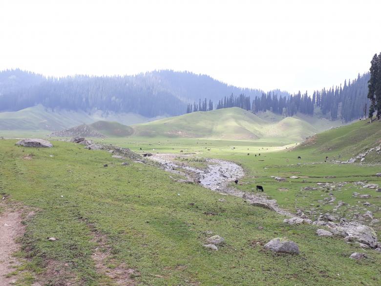 Free stock image of Lolab valley Kashmir created by Niaz Ahmed