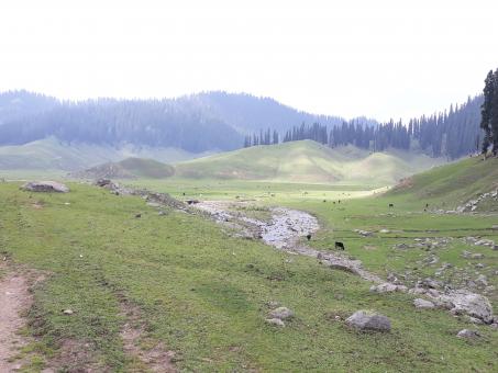 Lolab valley Kashmir - Free Stock Photo