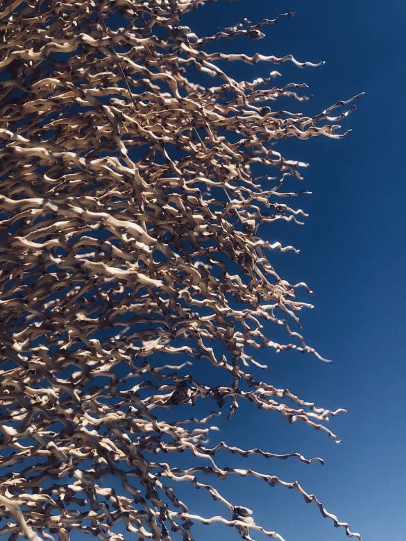 Free stock image of Sky created by Rosa Miriam yeo
