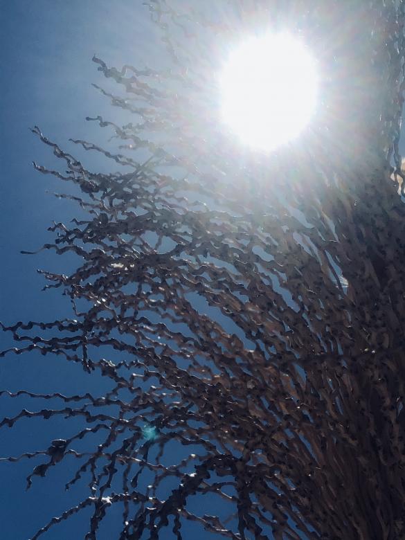 Free stock image of Sun created by Rosa Miriam yeo