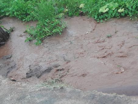 Floods - Free Stock Photo
